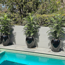 Parlour Palm UV 1.9m - artificial plants, flowers & trees - image 7