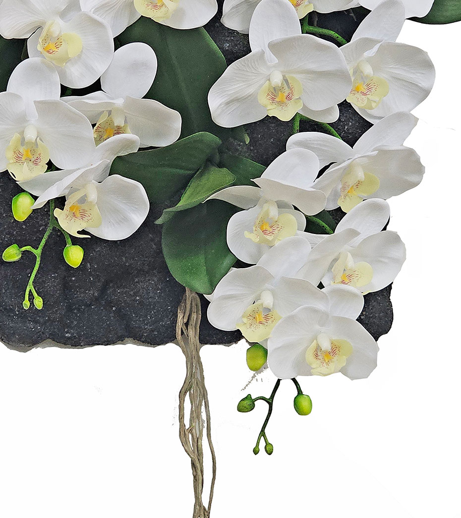 Orchid Wall-Plaque white flowers