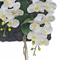 Orchid Wall-Plaque white flowers - artificial plants, flowers & trees - image 1