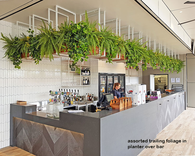 New Tavern uses artificial greenery- lots!