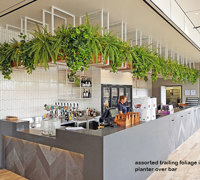 New Tavern uses artificial greenery- lots!