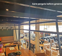 New Tavern uses artificial greenery- lots!