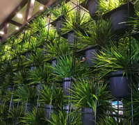 Green Plants in shelves as a room divider