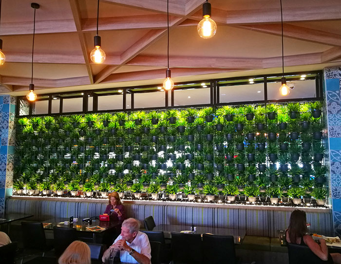 Green Plants in shelves as a room divider