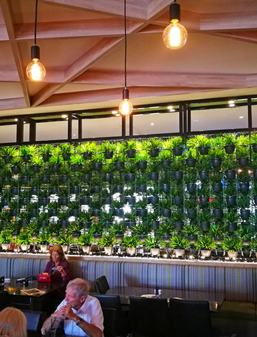 Green Plants in shelves as a room divider
