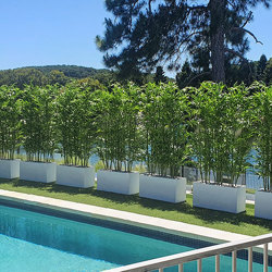 Bamboo UV-treated 1.8m - artificial plants, flowers & trees - image 5