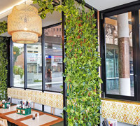 Cafe uses artificial green-vines for privacy screens & pergolas