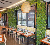 Cafe uses artificial green-vines for privacy screens & pergolas