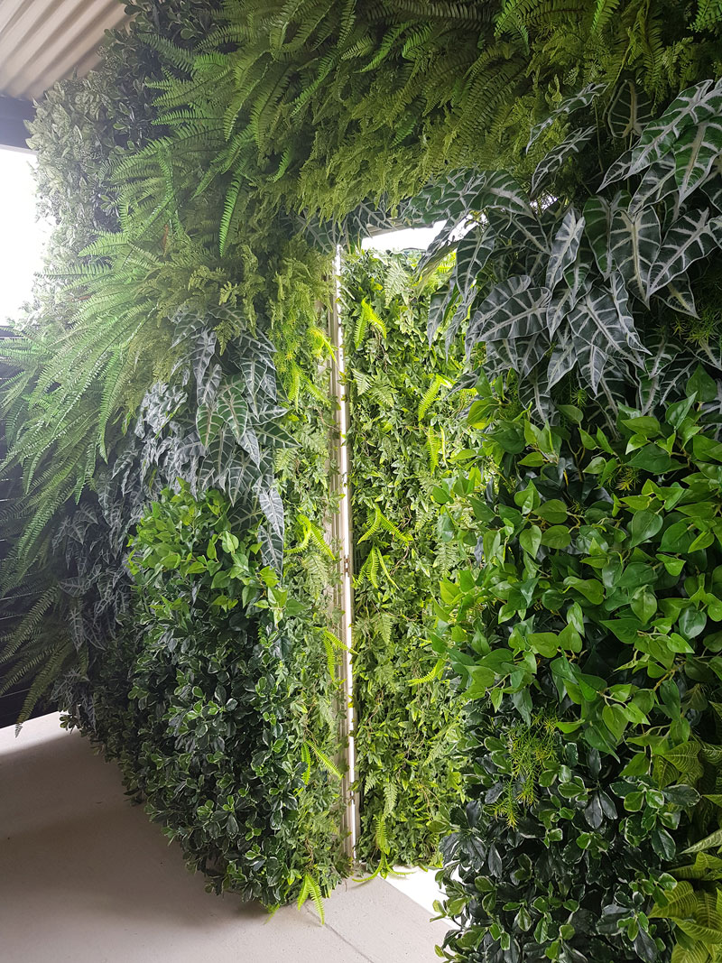 Before & After Shots..... Green-Walls 1