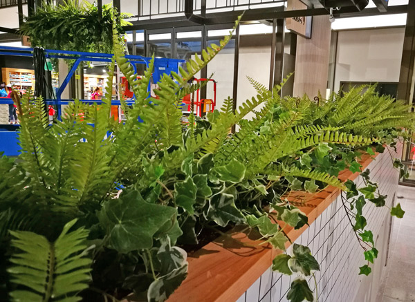 Shopping Mall- various greenery