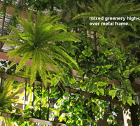 Shopping Mall- various greenery