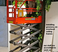 Shopping Mall- various greenery