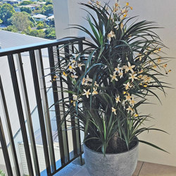 Orchid Trees 1.2m - artificial plants, flowers & trees - image 2