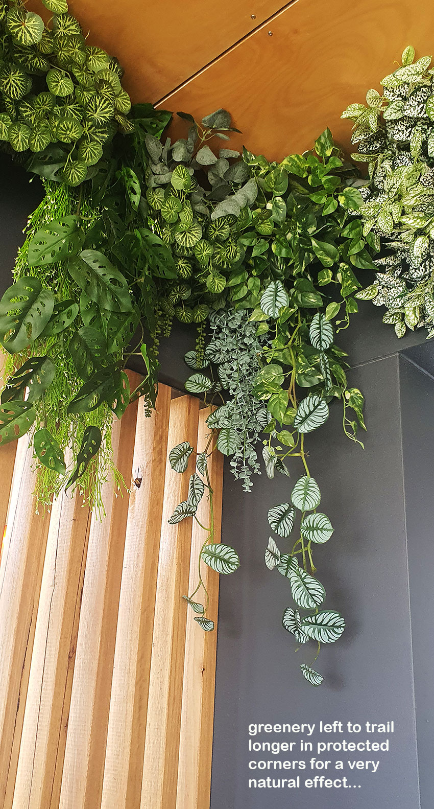 Very latest artificial greenery ideas used to lift Shopping Cnt Dining Precinct...