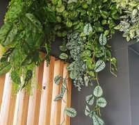 Very latest artificial greenery ideas used to lift Shopping Cnt Dining Precinct...