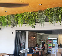 Very latest artificial greenery ideas used to lift Shopping Cnt Dining Precinct...