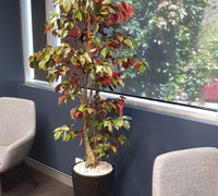 Office 'tambour' Planters...