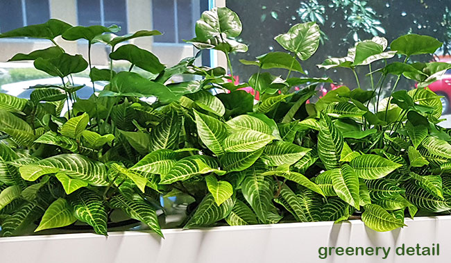Office 'tambour' Planters...