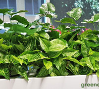 Office 'tambour' Planters...