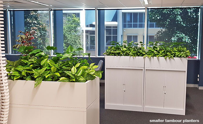 Office 'tambour' Planters...