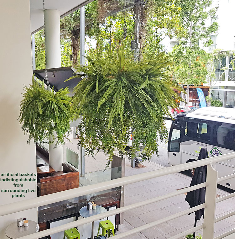 Before n After Shots..... Hanging-Baskets