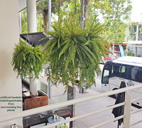 Before n After Shots..... Hanging-Baskets