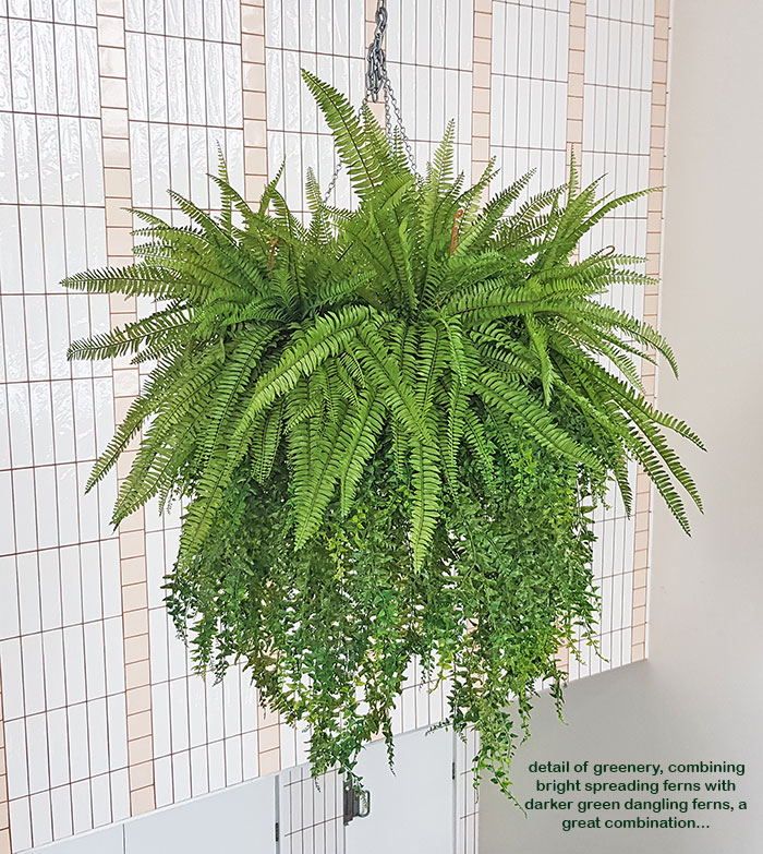 Artificial Plants thrive where live plants fail!