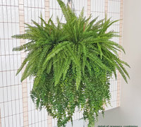 Artificial Plants thrive where live plants fail!