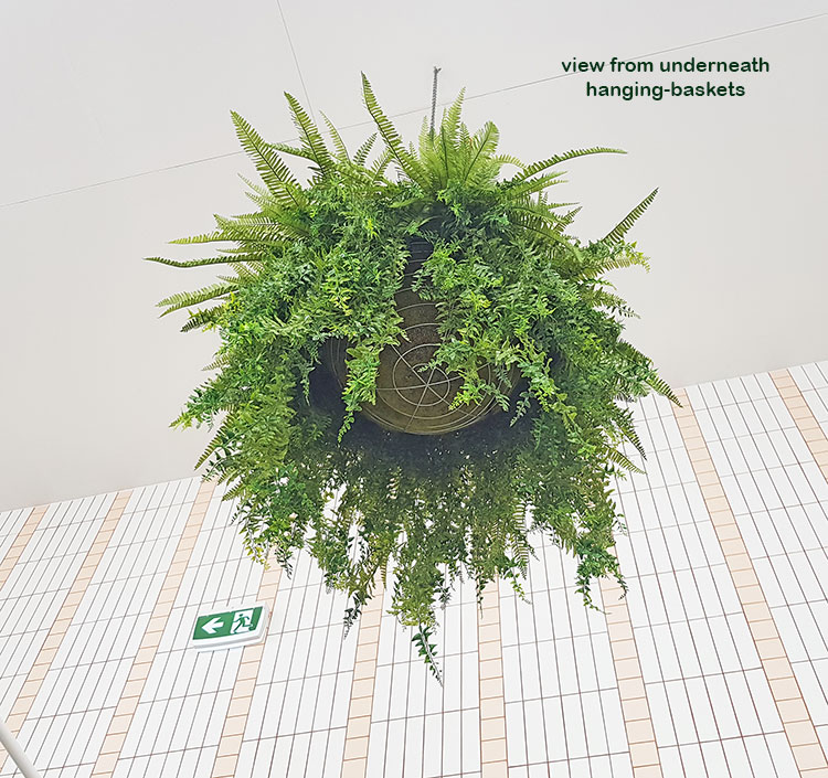 Artificial Plants thrive where live plants fail!