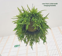 Artificial Plants thrive where live plants fail!