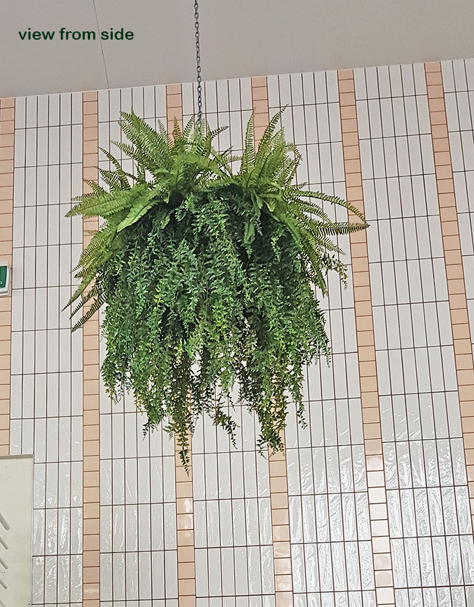 Artificial Plants thrive where live plants fail!