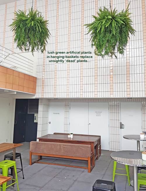 Artificial Plants thrive where live plants fail!