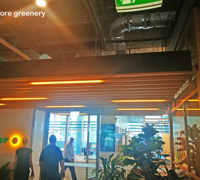 Greenery is TRENDING...