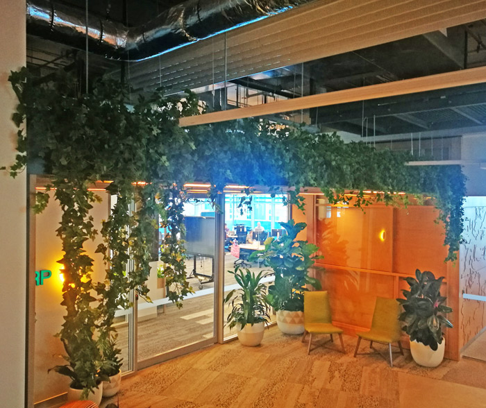 Greenery is TRENDING...