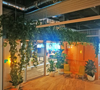 Greenery is TRENDING...