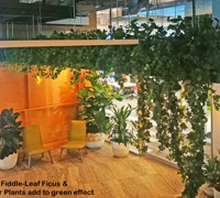 Greenery is TRENDING...