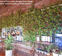 Green-Theme for funky urban bar