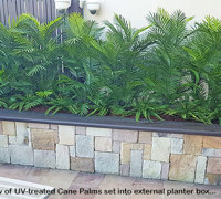Before & After Shots..... Outdoor Planters