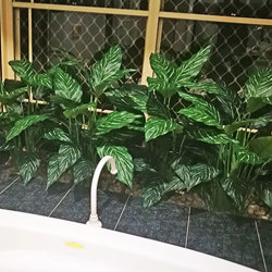 Silver Princess Plant 1.2m - artificial plants, flowers & trees - image 1