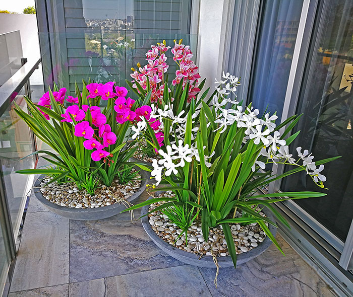 Colour & Greenery brighten-up penthouse balcony