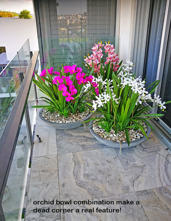 Colour & Greenery brighten-up penthouse balcony