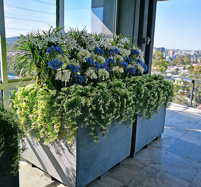 Colour & Greenery brighten-up penthouse balcony