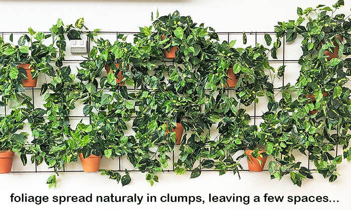 Simple 'Greenification' of Bar area using Vines on wall...