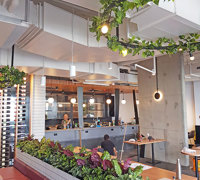 Finishing 'green-touches' to well-designed inner city bar...