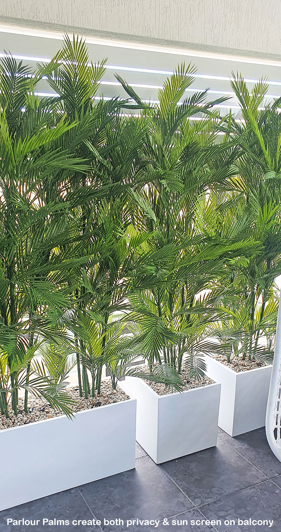 Parlour Palm UV 1.9m