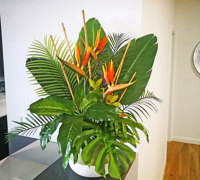 Artificial Green Walls, Greenery & Florals in Club Reception