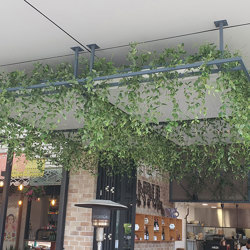 Trailing Clematis Plant - artificial plants, flowers & trees - image 3