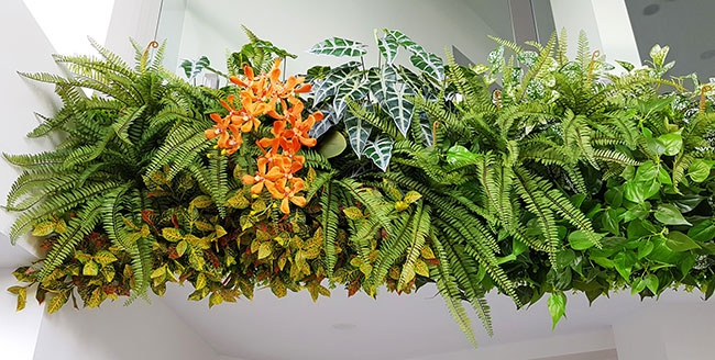 Long Green-Wall softens & brightens-up modern sales office...