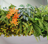 Long Green-Wall softens & brightens-up modern sales office...