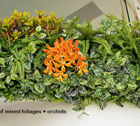 Long Green-Wall softens & brightens-up modern sales office...